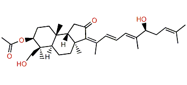 29-Hydroxystelliferin A